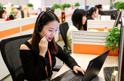 6類適合“老實(shí)人”的工作 在信息咨詢服務(wù)領(lǐng)域，找到人際關(guān)系簡(jiǎn)單、工資高又能做長久的職業(yè)港灣